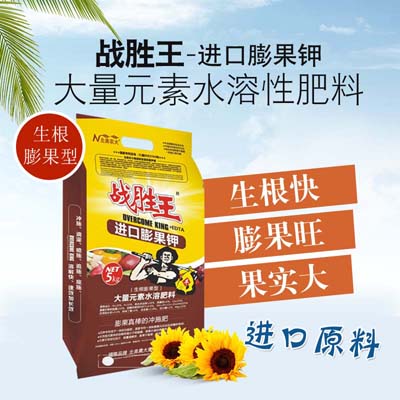 選對水溶肥，大棚黃瓜高產(chǎn)不難