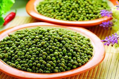種植綠豆應(yīng)當(dāng)如何施肥？