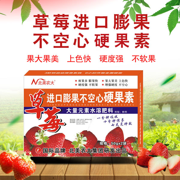 草莓果小怎么辦？草莓膨果不空心的方法！